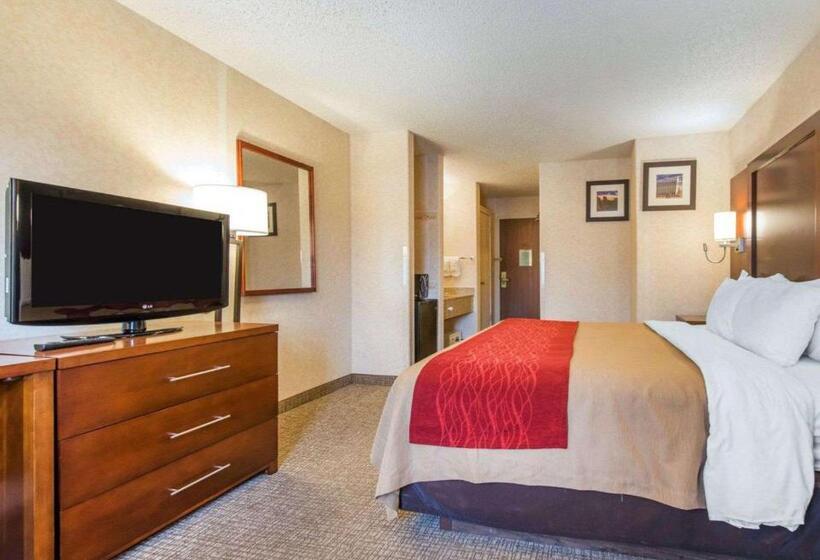 带大床的标准间, Comfort Inn North  Air Force Academy Area