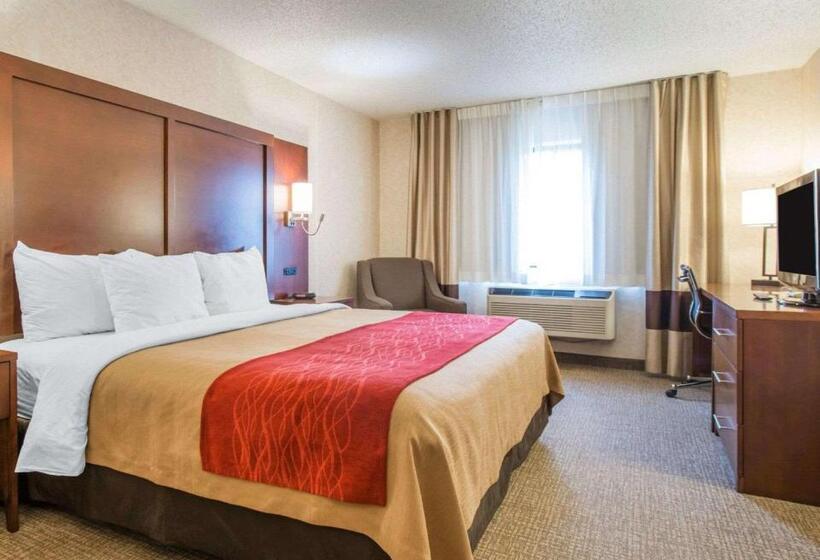 キングサイズベッドのスタンダードルーム, Comfort Inn North  Air Force Academy Area