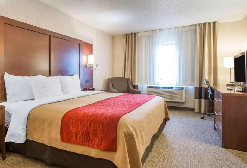 اتاق استاندارد با تخت بزرگ, Comfort Inn North  Air Force Academy Area