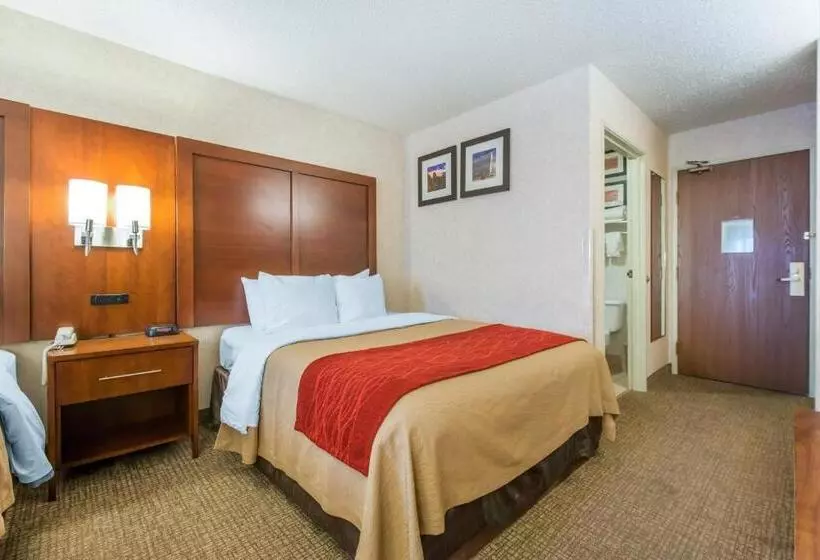 اتاق استاندارد, Comfort Inn North  Air Force Academy Area