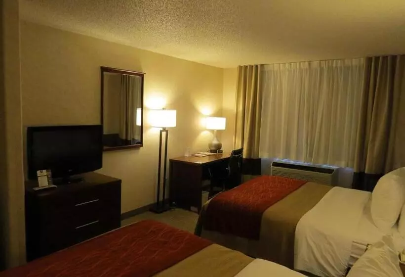 اتاق استاندارد, Comfort Inn North  Air Force Academy Area