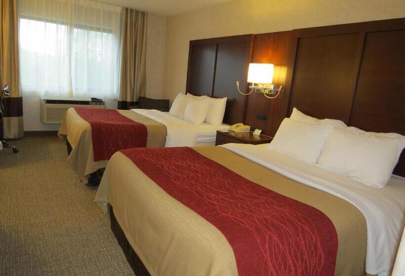 スタンダードルーム, Comfort Inn North  Air Force Academy Area