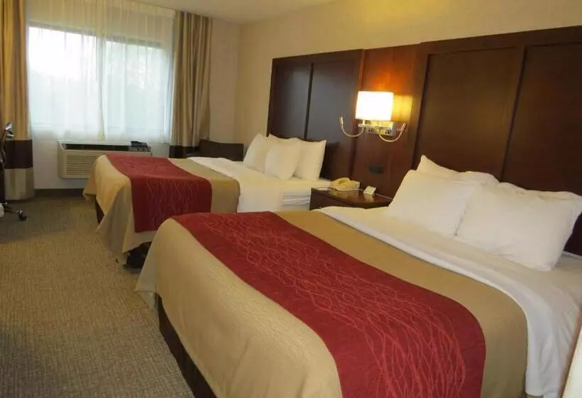 اتاق استاندارد, Comfort Inn North  Air Force Academy Area