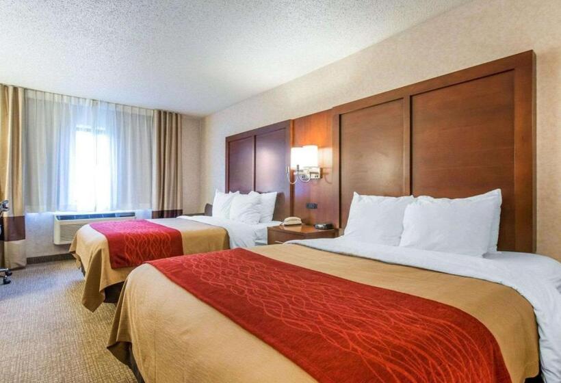 デラックスルーム, Comfort Inn North  Air Force Academy Area