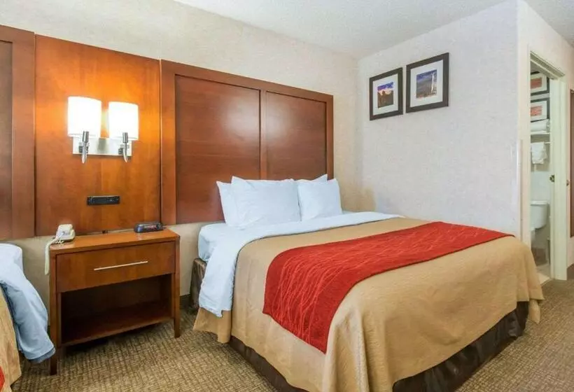 اتاق لوکس, Comfort Inn North  Air Force Academy Area