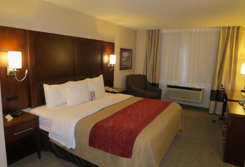 스탠다드 룸 킹사이즈 침대, Comfort Inn North  Air Force Academy Area