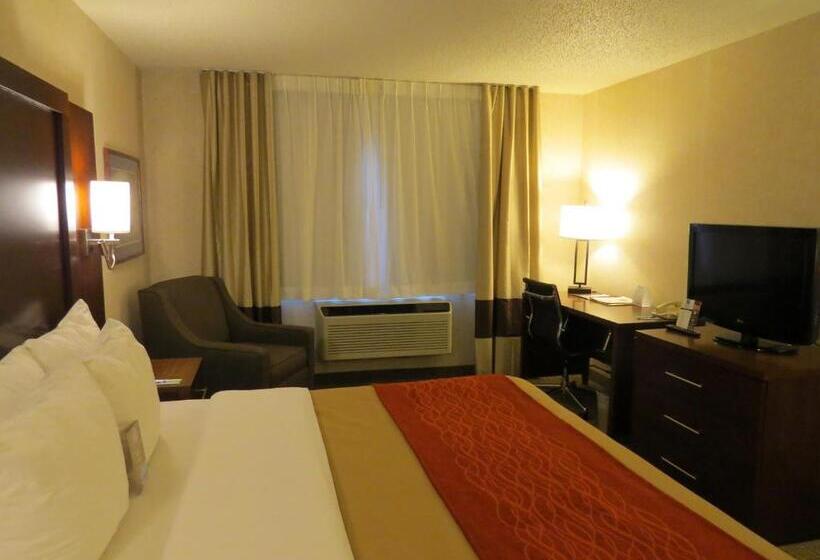 带大床的豪华间, Comfort Inn North  Air Force Academy Area