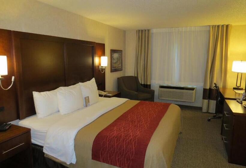 キングサイズベッドのデラックスルーム, Comfort Inn North  Air Force Academy Area