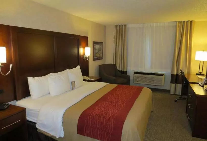 اتاق لوکس با تخت بزرگ, Comfort Inn North  Air Force Academy Area