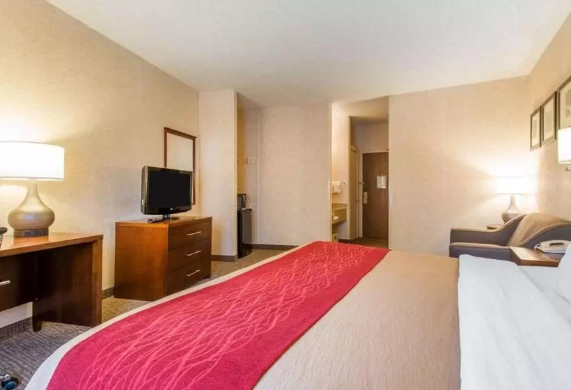 سوئیت با تخت بزرگ, Comfort Inn North  Air Force Academy Area