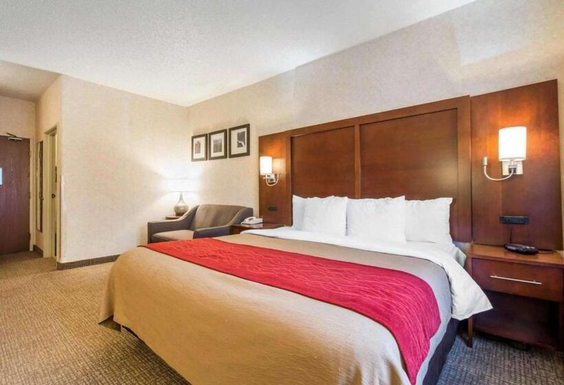 带大床的套房, Comfort Inn North  Air Force Academy Area