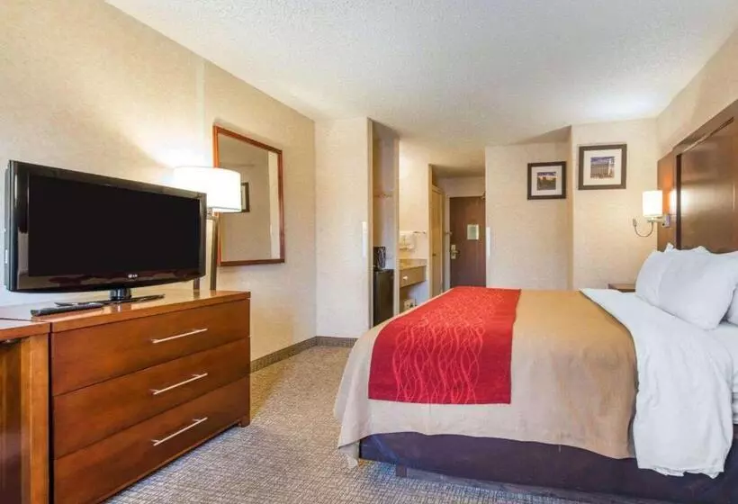 اتاق استاندارد با تخت بزرگ برای معلولان, Comfort Inn North  Air Force Academy Area