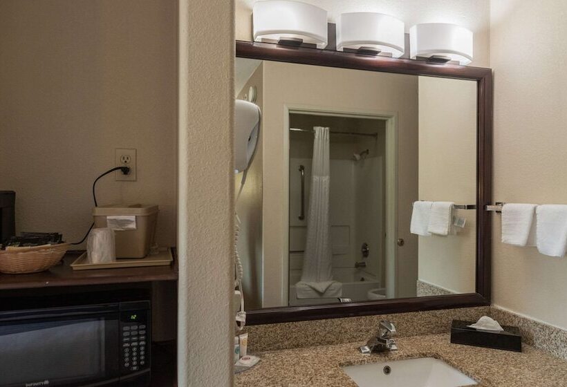 スタンダードルーム, Comfort Inn North  Air Force Academy Area