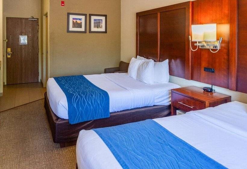 スタンダードルーム, Comfort Inn North  Air Force Academy Area