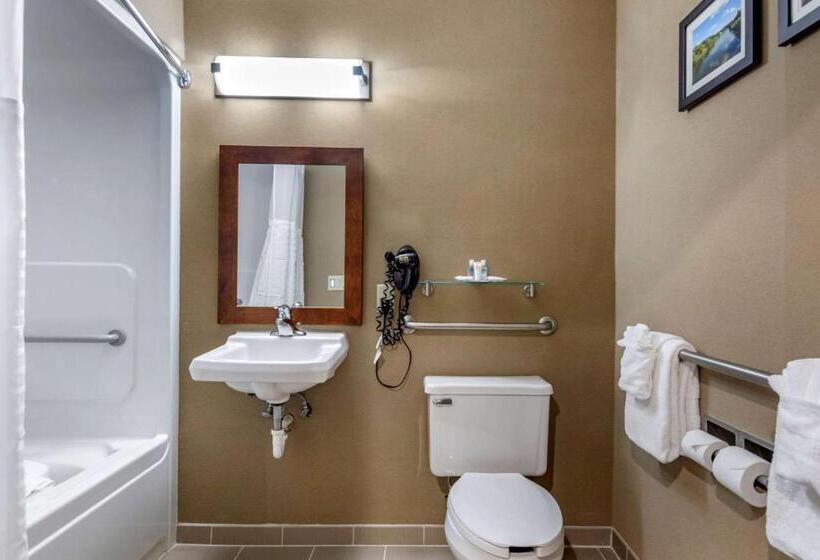 身障者適用スタンダードルーム, Comfort Inn & Suites Montpelierberlin