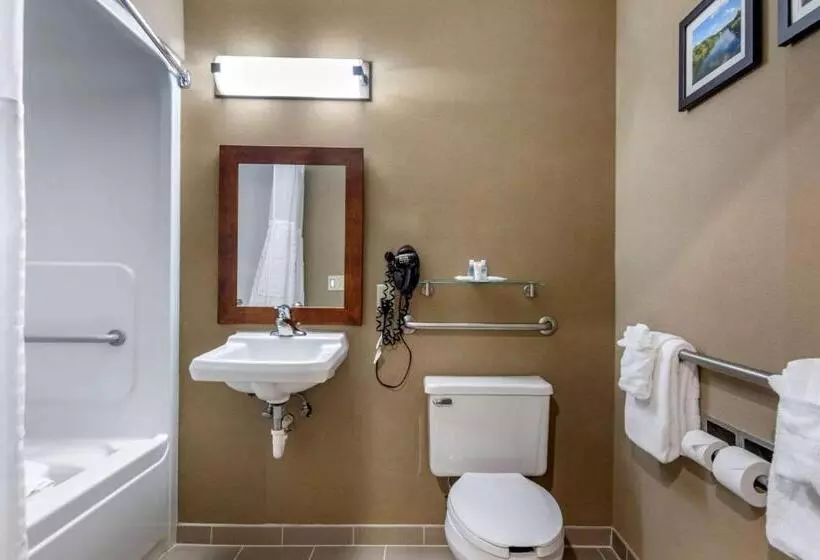 身障者適用スタンダードルーム, Comfort Inn & Suites Montpelierberlin