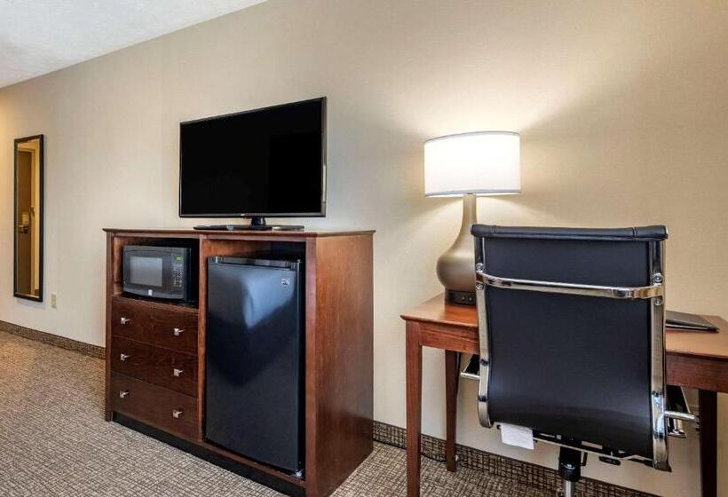 身障者適用スタンダードルーム, Comfort Inn & Suites Montpelierberlin