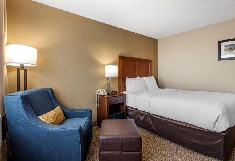 身障者適用スタンダードルーム, Comfort Inn & Suites Montpelierberlin
