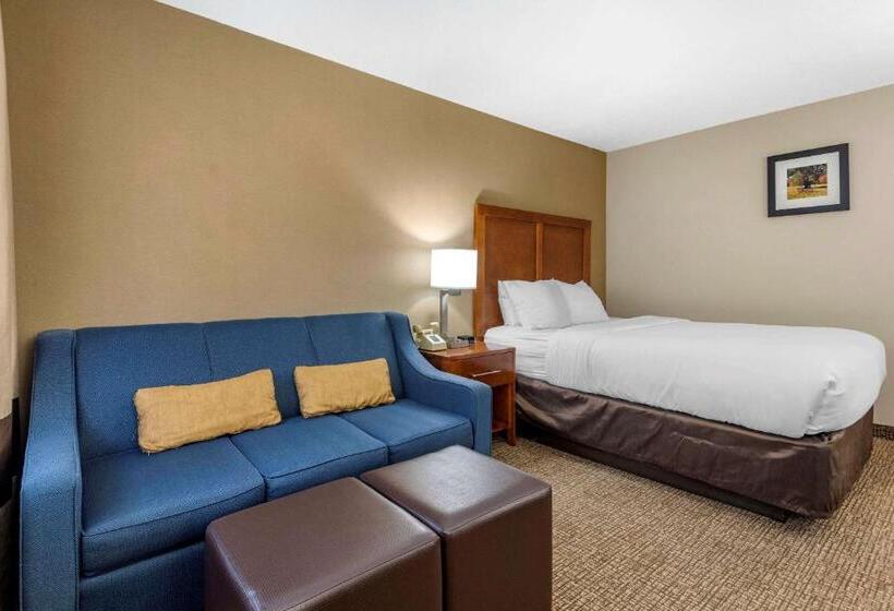 スタンダードルーム, Comfort Inn & Suites Montpelierberlin