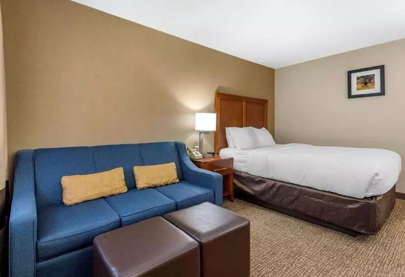 スタンダードルーム, Comfort Inn & Suites Montpelierberlin