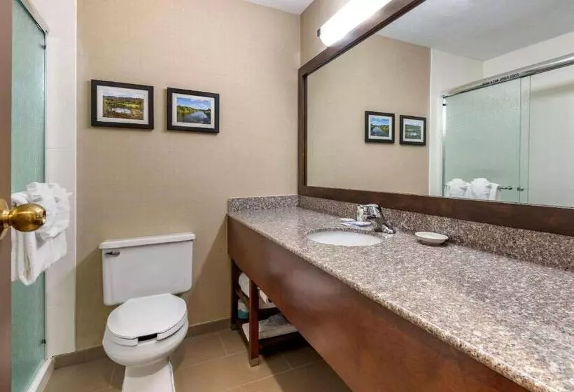 スタンダードルーム, Comfort Inn & Suites Montpelierberlin