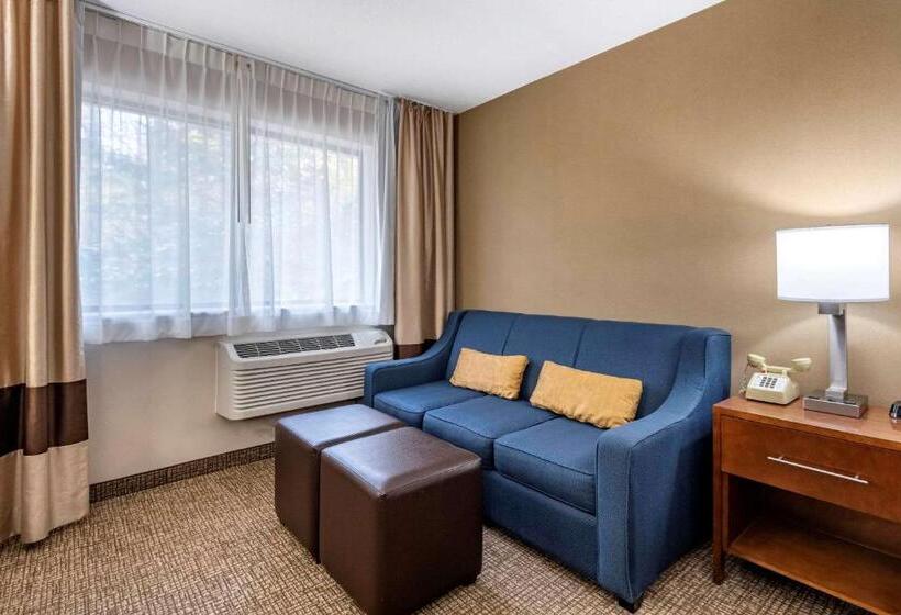 スタンダードルーム, Comfort Inn & Suites Montpelierberlin