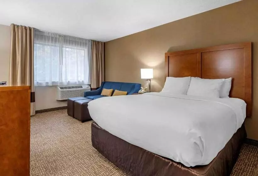 スタンダードルーム, Comfort Inn & Suites Montpelierberlin