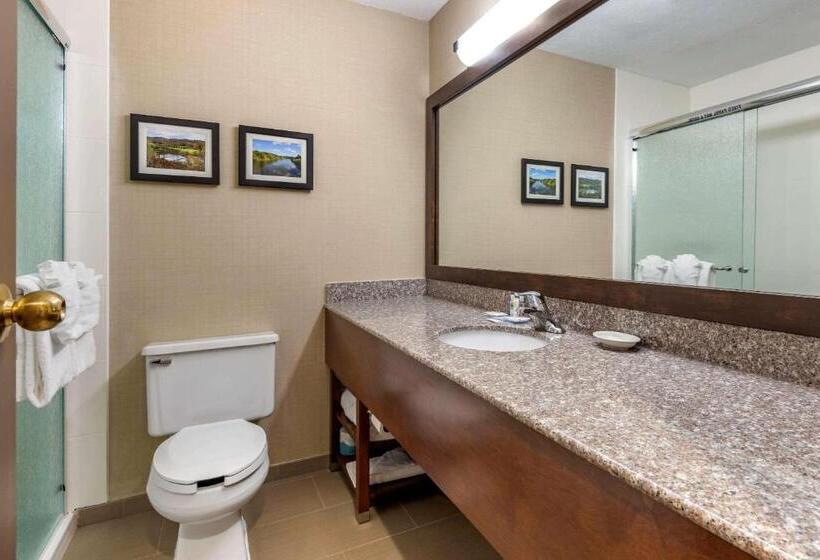 キングサイズベッドのスイートルーム, Comfort Inn & Suites Montpelierberlin