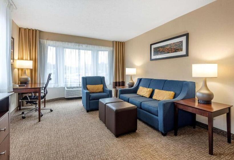 Люкс Кровать Кинг, Comfort Inn & Suites Montpelierberlin