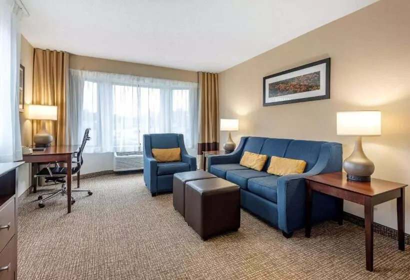 キングサイズベッドのスイートルーム, Comfort Inn & Suites Montpelierberlin