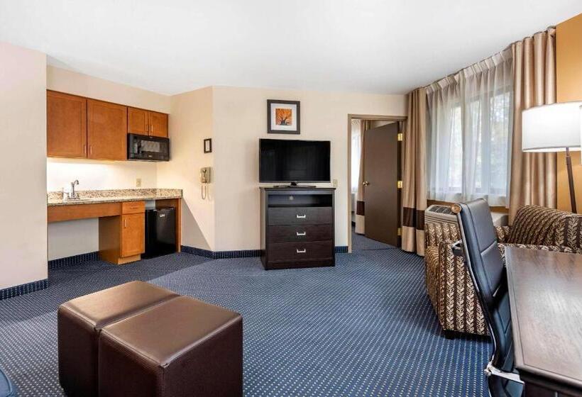 キングサイズベッドのスイートルーム, Comfort Inn & Suites Montpelierberlin