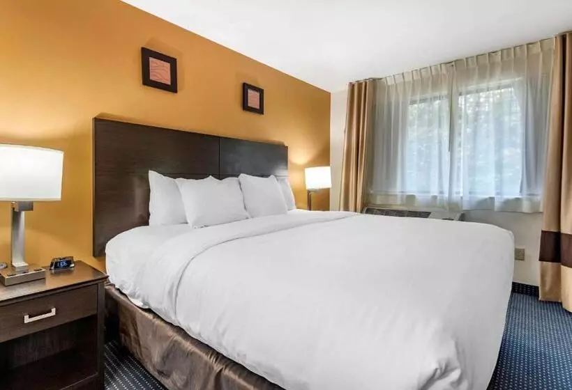 キングサイズベッドのスイートルーム, Comfort Inn & Suites Montpelierberlin