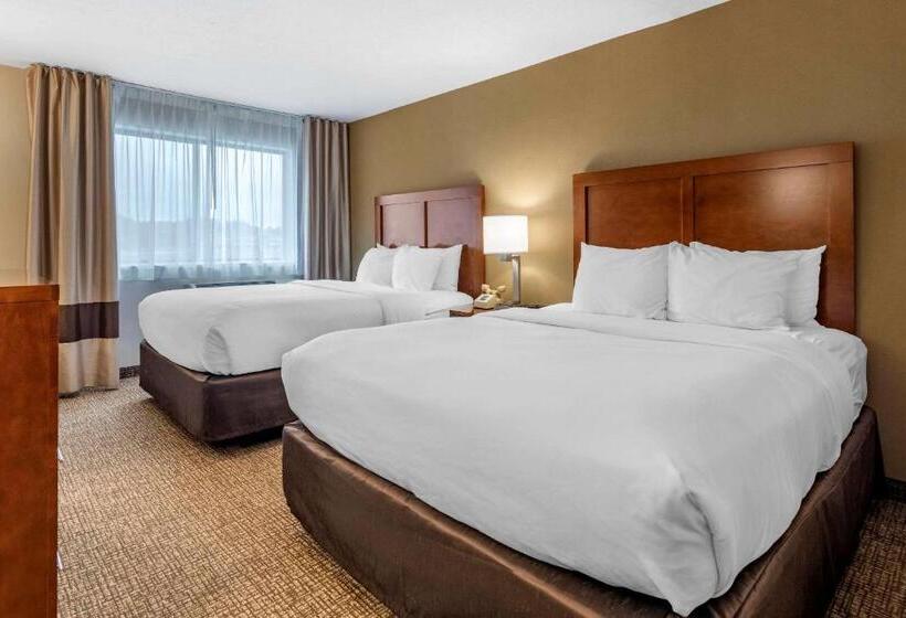 スタンダードルーム, Comfort Inn & Suites Montpelierberlin