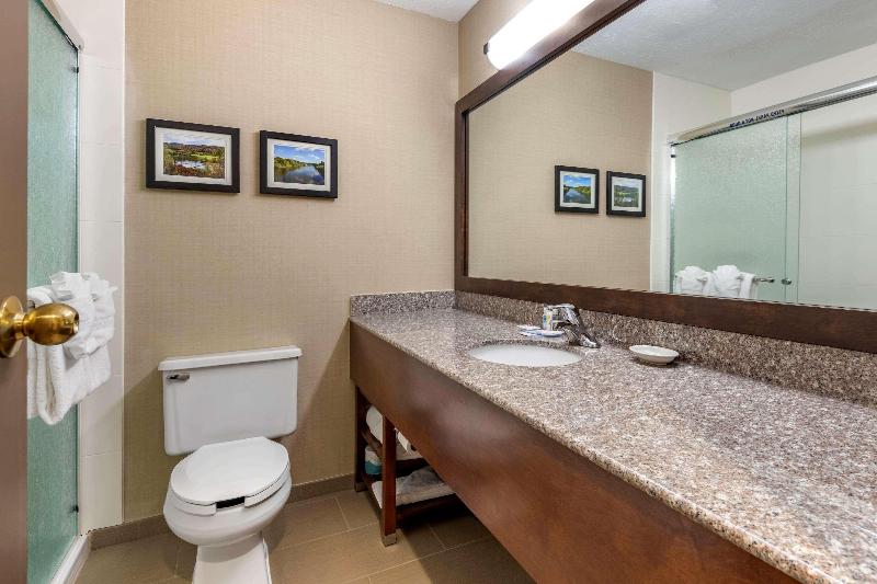 Люкс Кровать Кинг, Comfort Inn & Suites Montpelierberlin