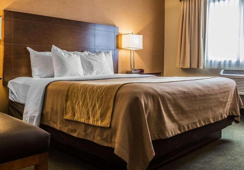 キングサイズベッドのスイートルーム, Comfort Inn & Suites Montpelierberlin