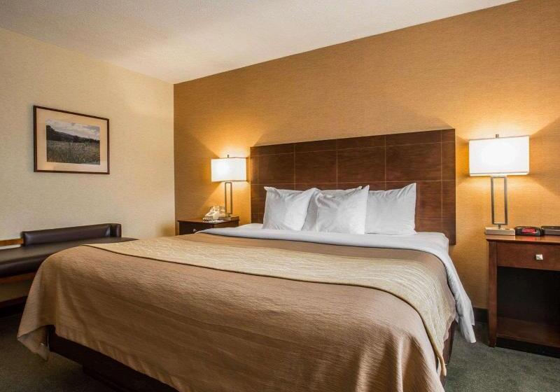 キングサイズベッドのスイートルーム, Comfort Inn & Suites Montpelierberlin