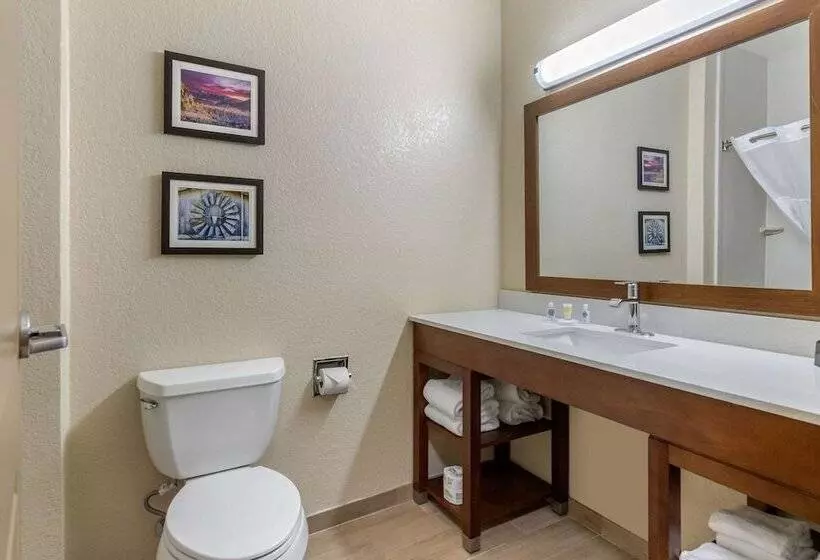 スイート, Comfort Suites San Antonio Airport North