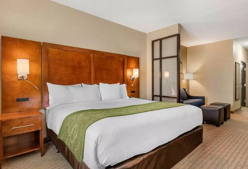 スイート, Comfort Suites San Antonio Airport North