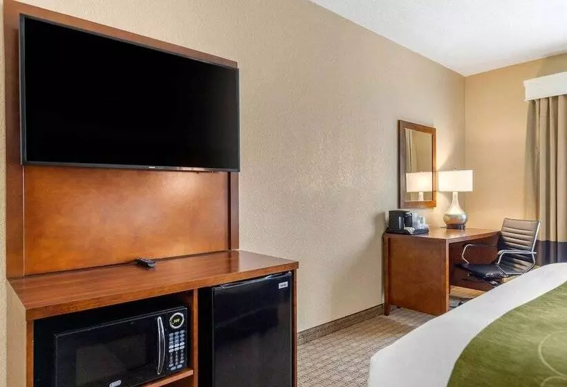 スイート, Comfort Suites San Antonio Airport North