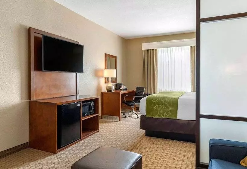 スイート, Comfort Suites San Antonio Airport North