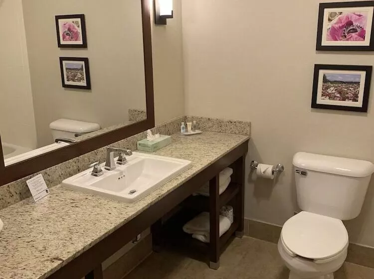 スイート, Comfort Suites Gastonia  Charlotte