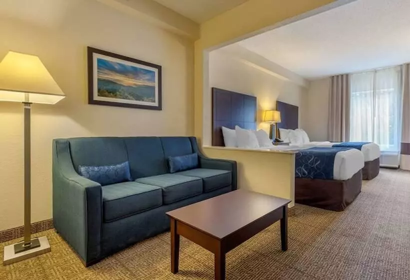 スイート, Comfort Suites Gastonia  Charlotte