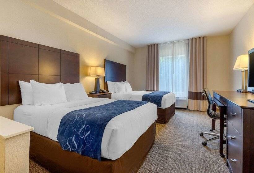 Люкс, Comfort Suites Gastonia  Charlotte