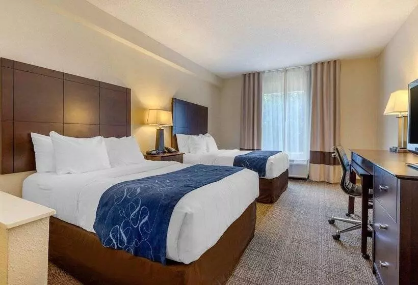 スイート, Comfort Suites Gastonia  Charlotte