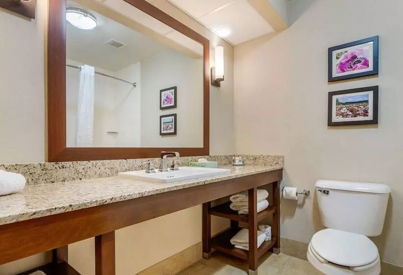 スイート, Comfort Suites Gastonia  Charlotte