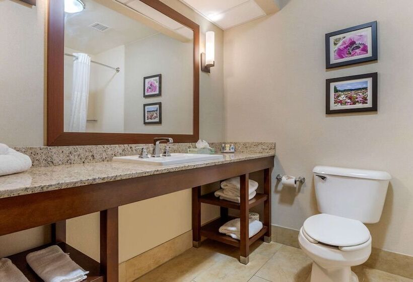 Люкс, Comfort Suites Gastonia  Charlotte