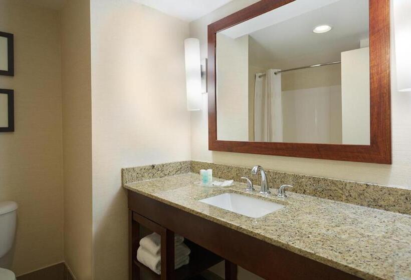 장애인을 위한 스위트, Comfort Suites Innsbrook Short Pump