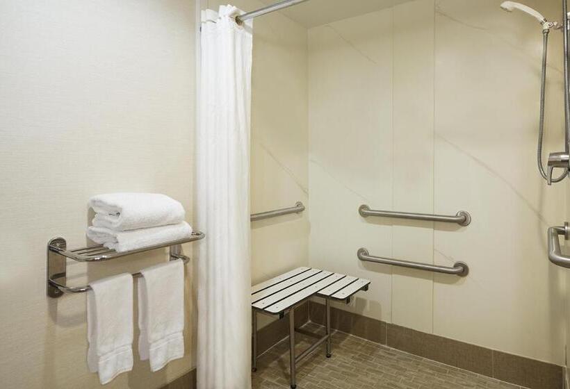 Люкс Адаптированный для Инвалидов, Comfort Suites Innsbrook  Short Pump