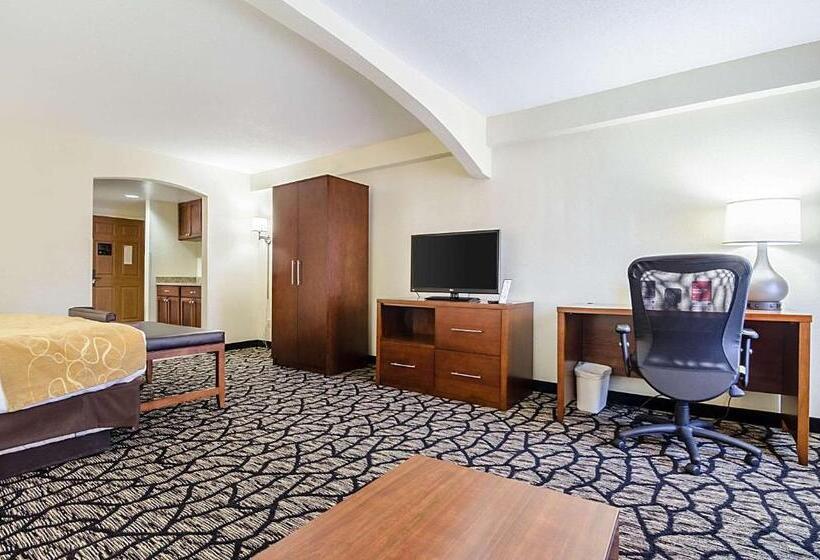 스위트 킹사이즈 침대, Comfort Suites Innsbrook Short Pump