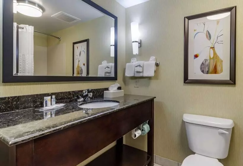 スイート, Comfort Suites Knoxville West  Farragut
